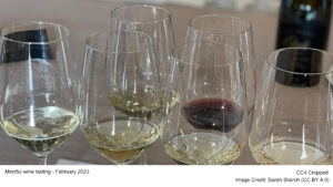 Mindful wine tasting - February 2023