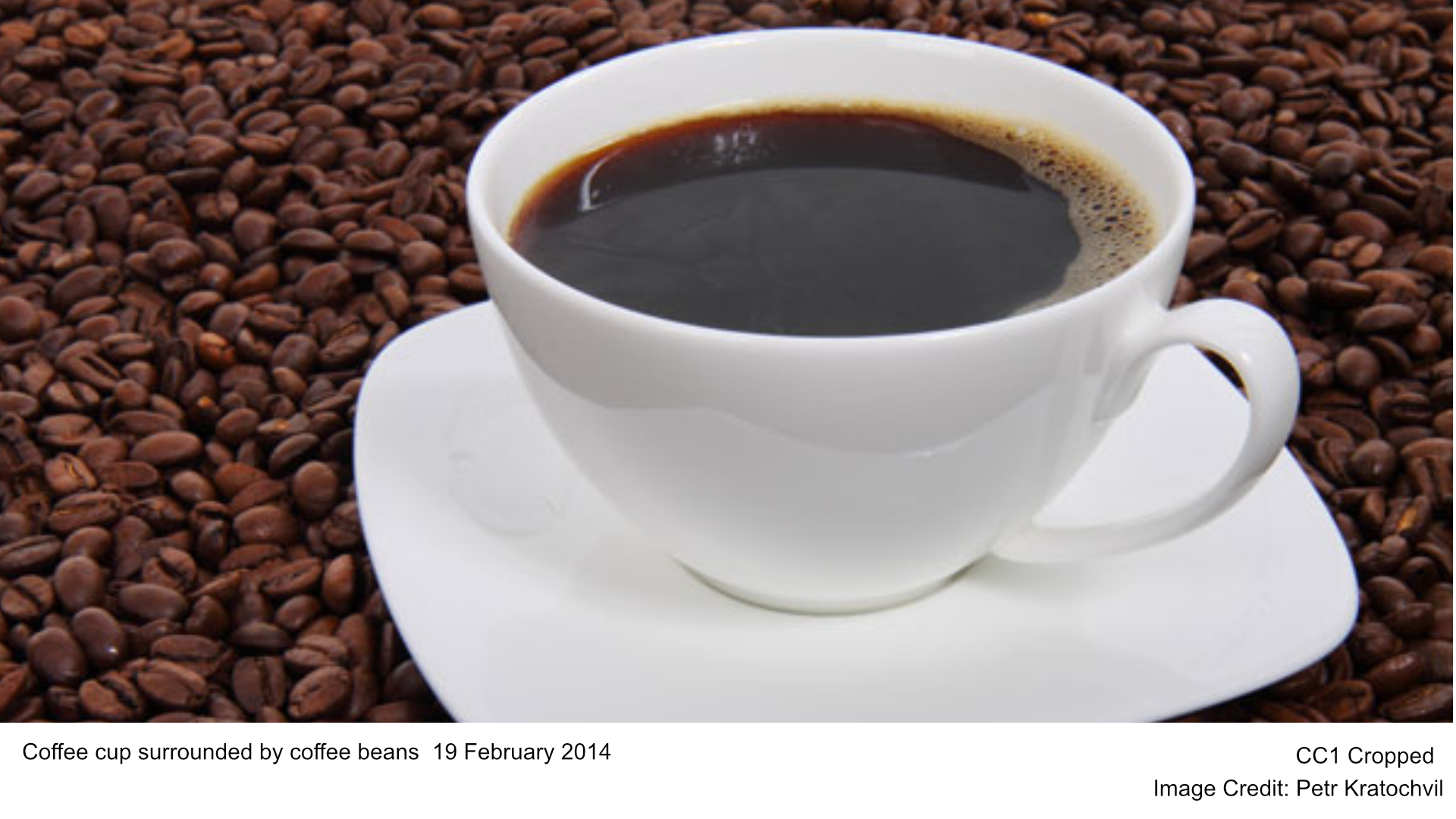 Coffee cup surrounded by coffee beans